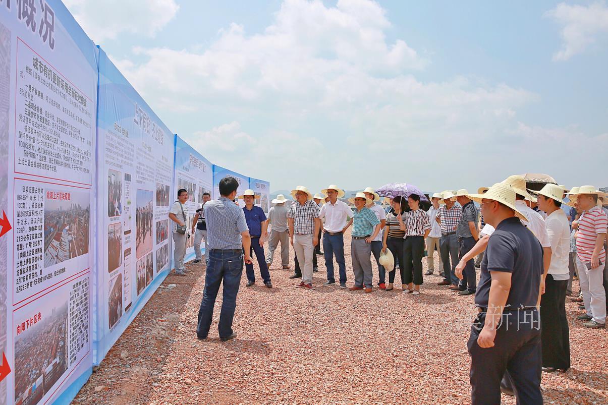 蘭溪城中村規劃重塑城市面貌，推動社區發展新篇章